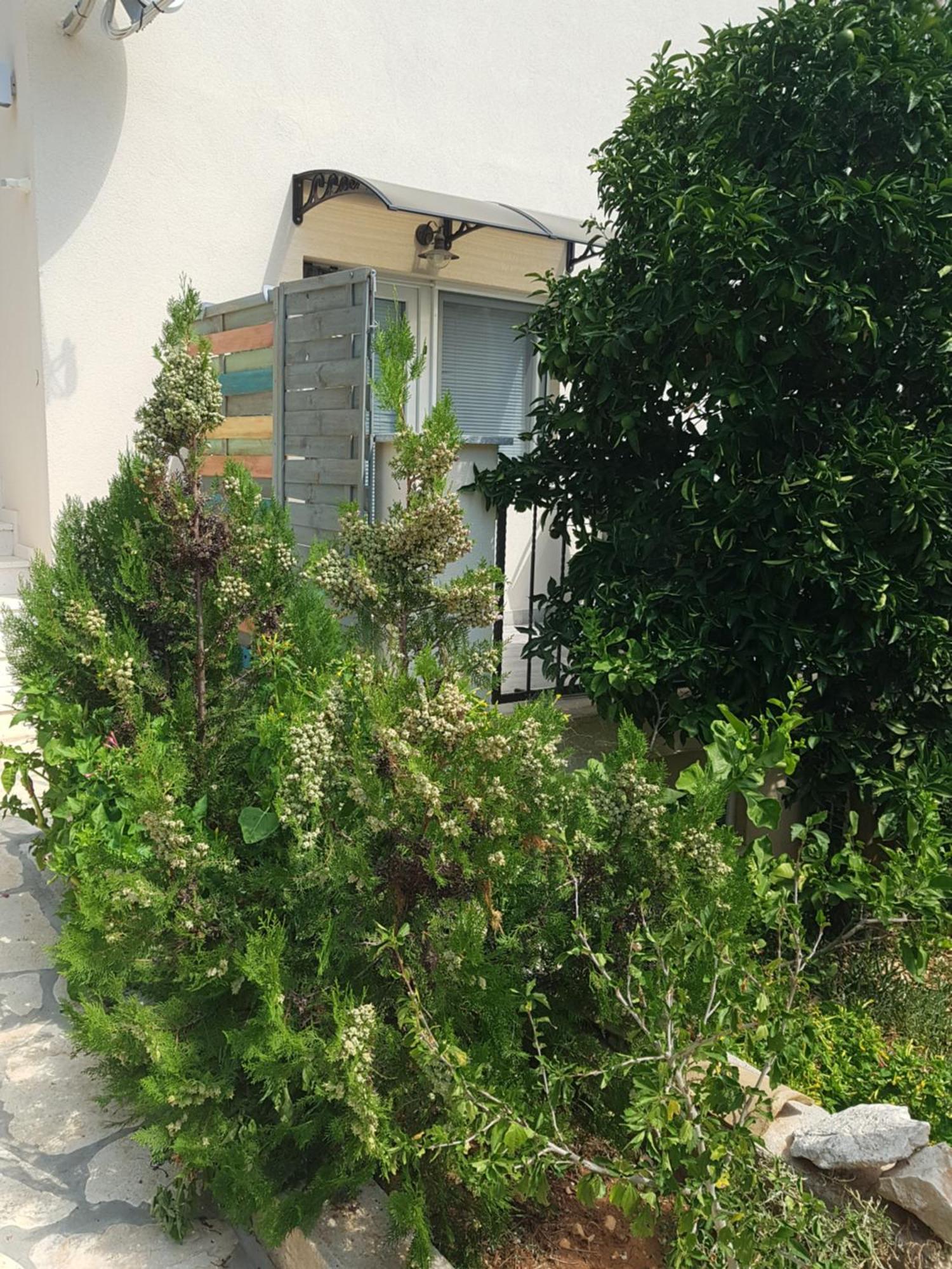 Hamo Apartments & Soba Lumbarda Exterior photo